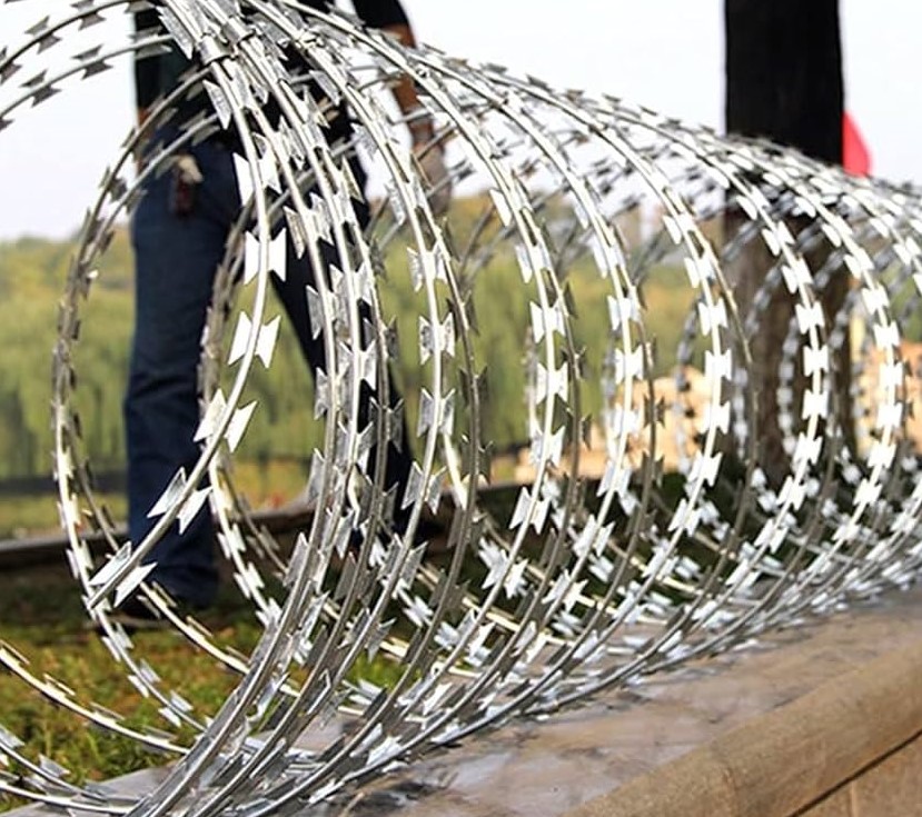 619IrJ+svAL._UF894,1000_QL80_